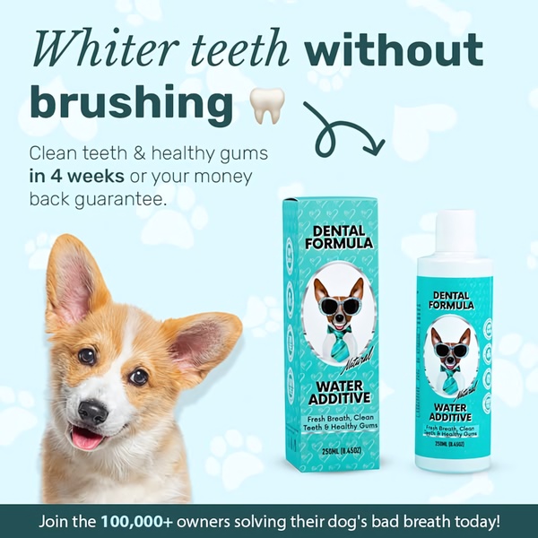 A clean, instructional graphic for a pet dental formula that emphasizes the ease of use by removing the need for traditional brushing.